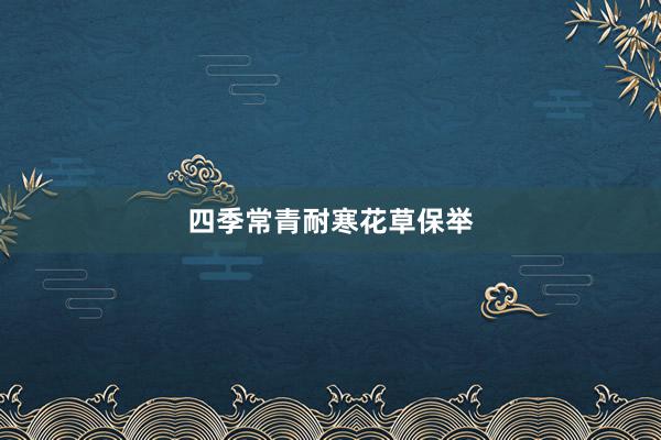 四季常青耐寒花草保举